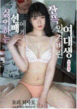 国产精品一区久久久 南来北往